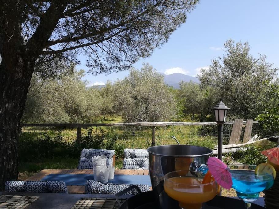 Villa Segreta, Mount Etna Belpasso Kültér fotó
