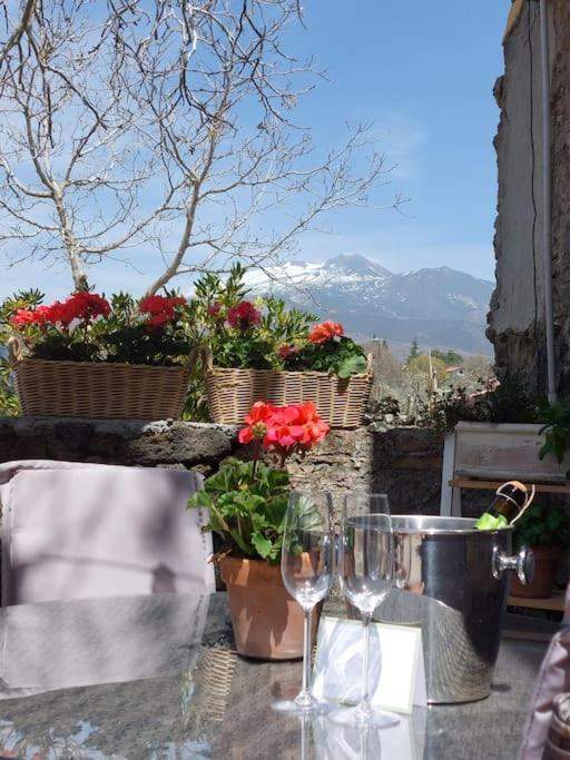 Villa Segreta, Mount Etna Belpasso Kültér fotó